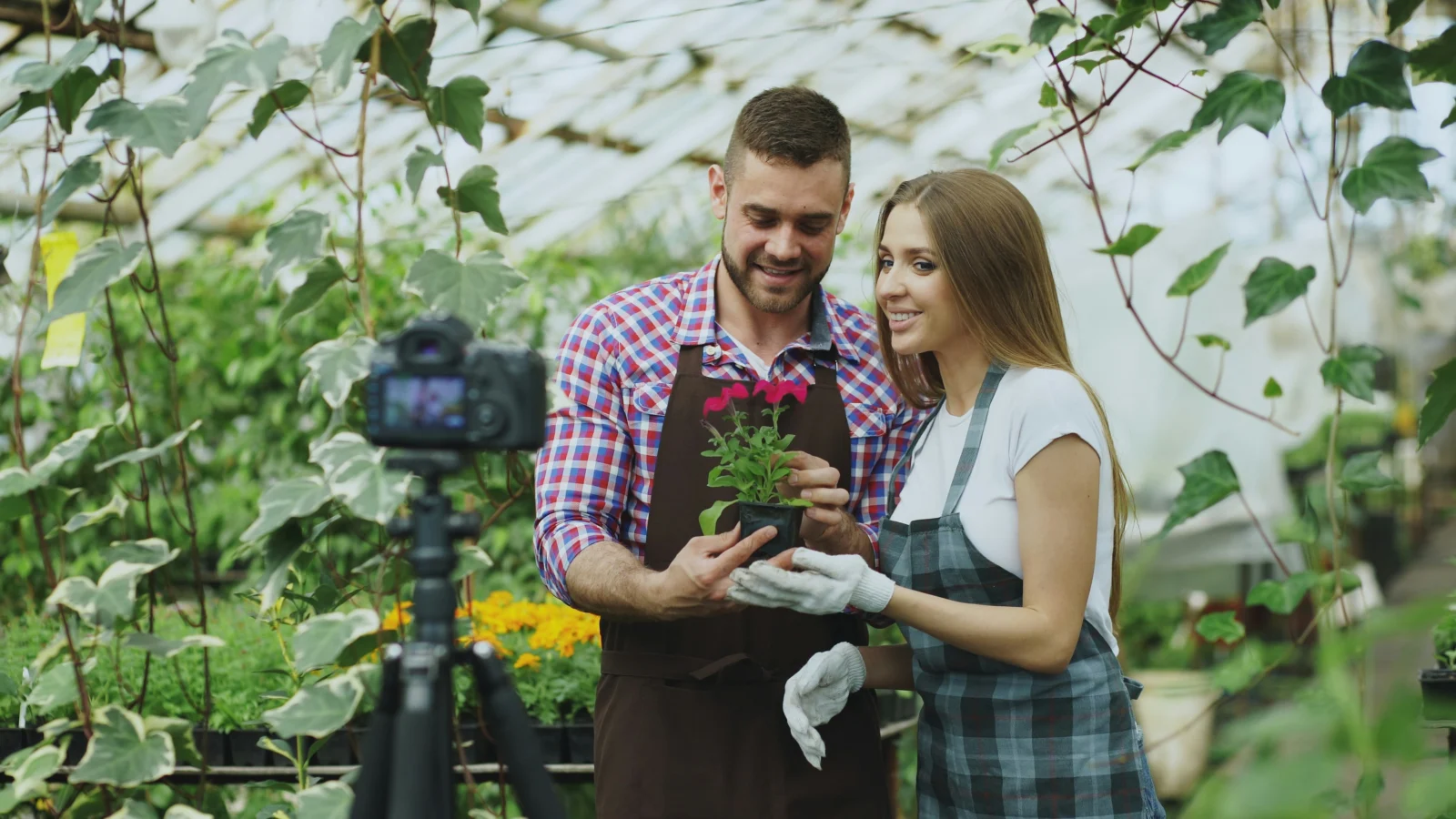 Adult volunteering in a community garden while exploring meaning and life purpose