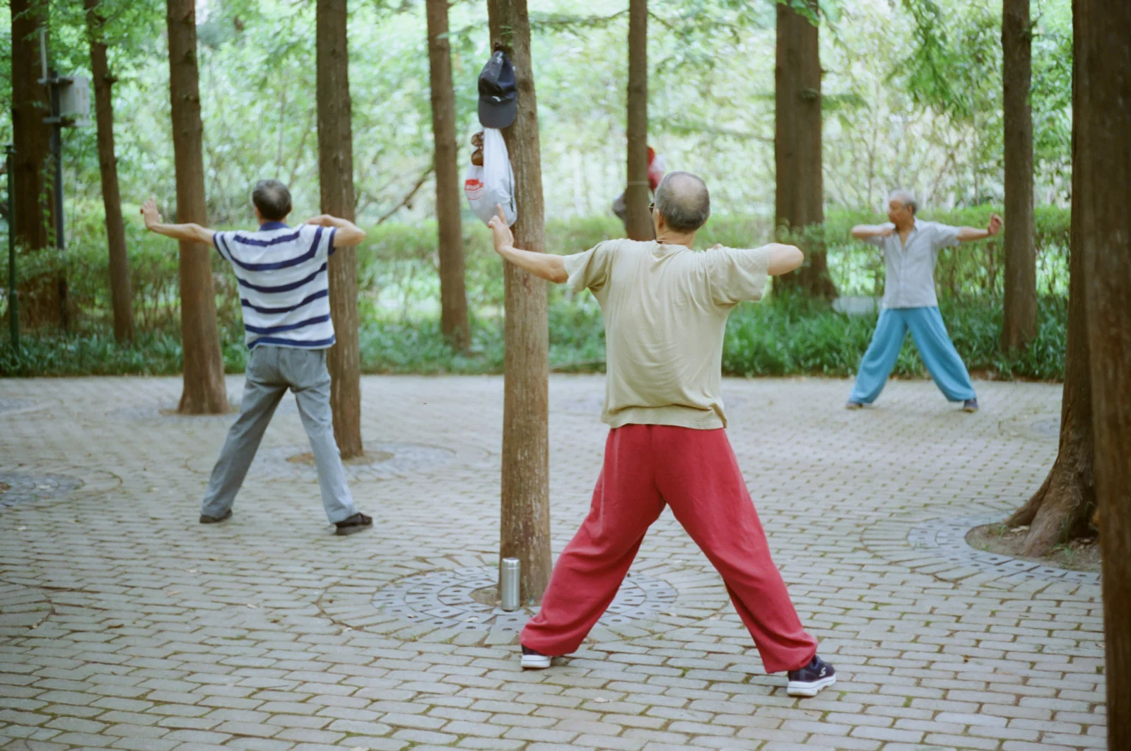 Adults over 50 practicing tai chi for beginners together outdoors
