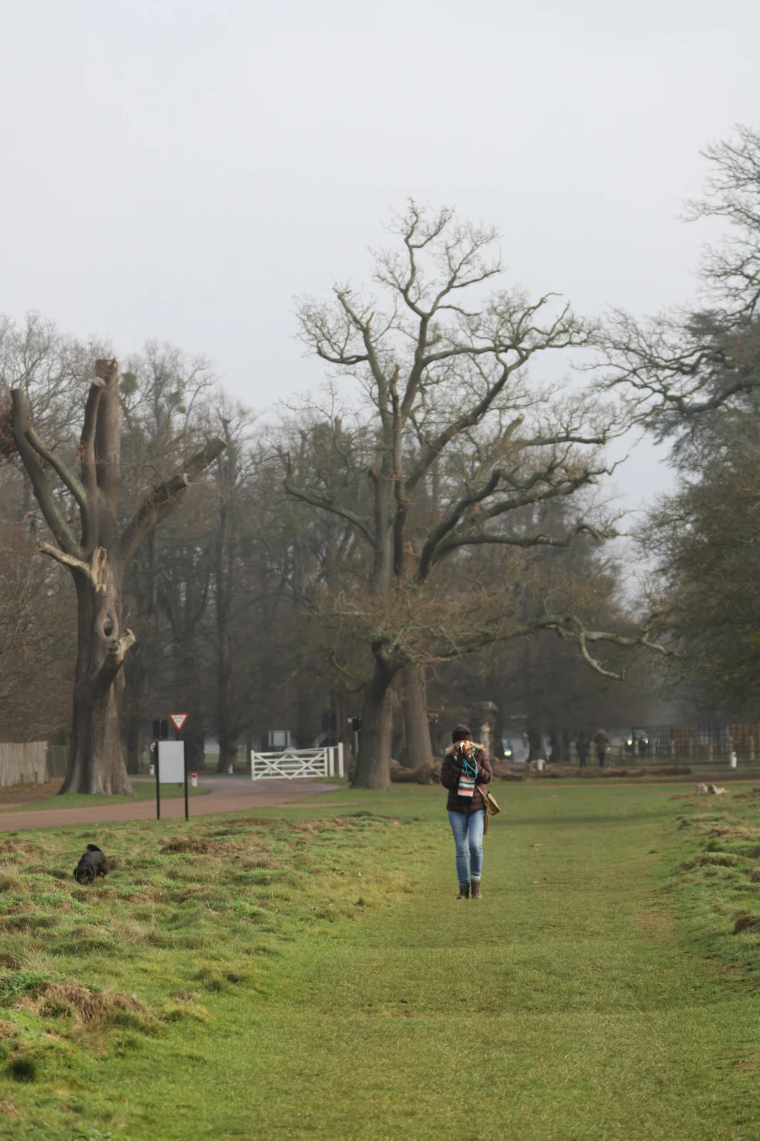 Person walking along a foggy path while learning to deal with uncertainty in life