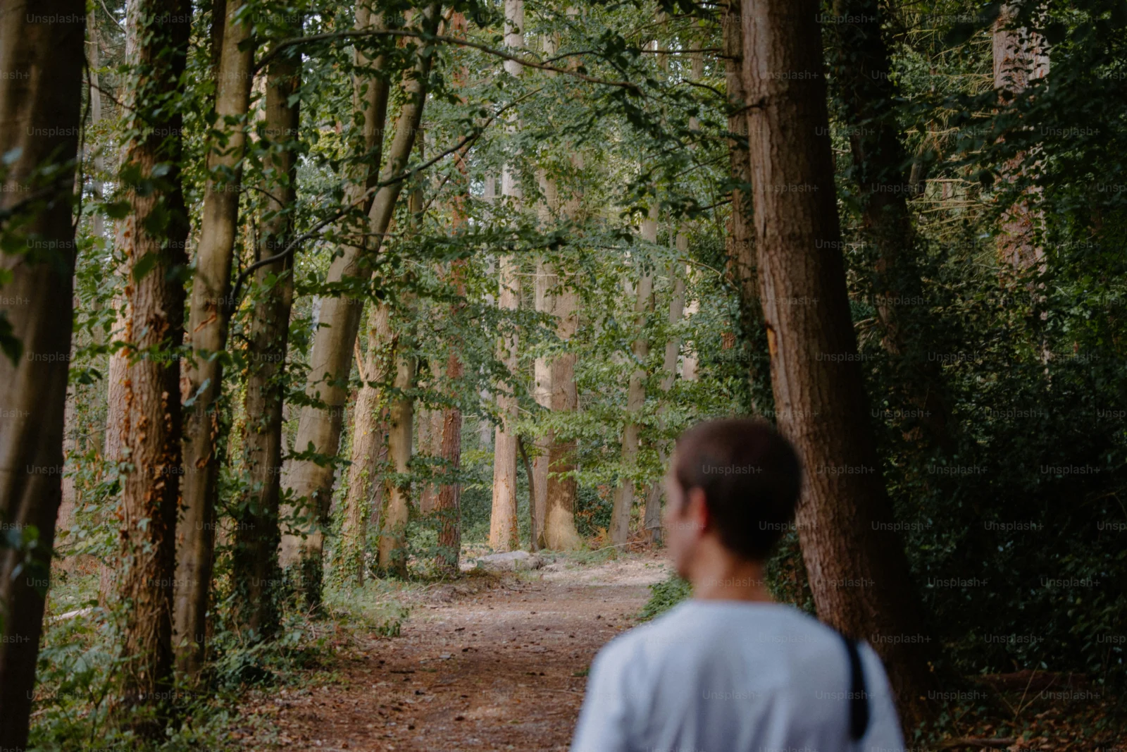 Feet practicing mindful walking along a peaceful forest path